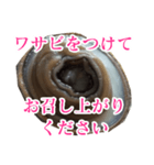 会話するアワビのスタンプ【刺身・美味い】（個別スタンプ：8）