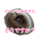 会話するアワビのスタンプ【刺身・美味い】（個別スタンプ：9）