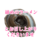 会話するアワビのスタンプ【刺身・美味い】（個別スタンプ：11）