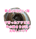 会話するアワビのスタンプ【刺身・美味い】（個別スタンプ：12）