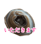 会話するアワビのスタンプ【刺身・美味い】（個別スタンプ：14）