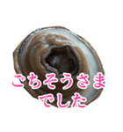 会話するアワビのスタンプ【刺身・美味い】（個別スタンプ：15）