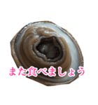 会話するアワビのスタンプ【刺身・美味い】（個別スタンプ：17）