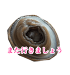 会話するアワビのスタンプ【刺身・美味い】（個別スタンプ：18）