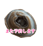 会話するアワビのスタンプ【刺身・美味い】（個別スタンプ：19）