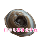 会話するアワビのスタンプ【刺身・美味い】（個別スタンプ：20）