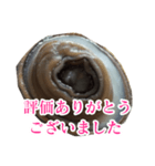 会話するアワビのスタンプ【刺身・美味い】（個別スタンプ：21）