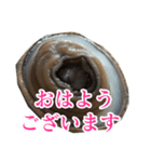 会話するアワビのスタンプ【刺身・美味い】（個別スタンプ：26）
