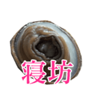 会話するアワビのスタンプ【刺身・美味い】（個別スタンプ：27）