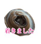 会話するアワビのスタンプ【刺身・美味い】（個別スタンプ：30）