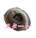 会話するアワビのスタンプ【刺身・美味い】（個別スタンプ：31）