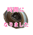 会話するアワビのスタンプ【刺身・美味い】（個別スタンプ：32）