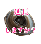 会話するアワビのスタンプ【刺身・美味い】（個別スタンプ：33）