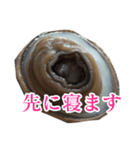 会話するアワビのスタンプ【刺身・美味い】（個別スタンプ：37）