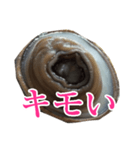 会話するアワビのスタンプ【刺身・美味い】（個別スタンプ：40）