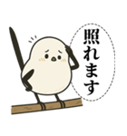 オテテエナガ【けんそん個体】（個別スタンプ：13）