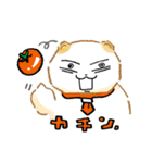 どどんと！うどん！ねこスタンプにょ～ん編（個別スタンプ：13）