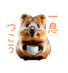 ハッピーアニマル_クオッカワラビー35（個別スタンプ：11）