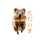 ハッピーアニマル_クオッカワラビー35（個別スタンプ：17）