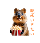ハッピーアニマル_クオッカワラビー35（個別スタンプ：31）