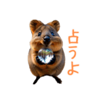 ハッピーアニマル_クオッカワラビー35（個別スタンプ：38）