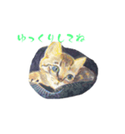 さんげんしょくチビ（個別スタンプ：3）