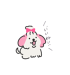 マルチーズのぷぷちゃん（個別スタンプ：4）