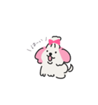 マルチーズのぷぷちゃん（個別スタンプ：5）