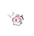 マルチーズのぷぷちゃん（個別スタンプ：11）