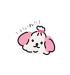 マルチーズのぷぷちゃん（個別スタンプ：12）
