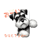 毎日犬(シュナウザー②)（個別スタンプ：15）