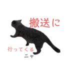 ブリショーつみれの葬儀屋さん（個別スタンプ：9）