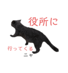 ブリショーつみれの葬儀屋さん（個別スタンプ：10）