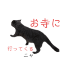 ブリショーつみれの葬儀屋さん（個別スタンプ：11）