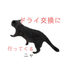 ブリショーつみれの葬儀屋さん（個別スタンプ：12）