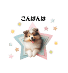 かわいいシェルティの犬スタンプ（個別スタンプ：3）