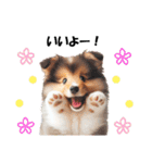 かわいいシェルティの犬スタンプ（個別スタンプ：7）