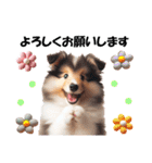 かわいいシェルティの犬スタンプ（個別スタンプ：11）