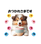 かわいいシェルティの犬スタンプ（個別スタンプ：12）