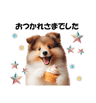 かわいいシェルティの犬スタンプ（個別スタンプ：13）