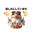 かわいいシェルティの犬スタンプ（個別スタンプ：22）