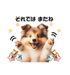 かわいいシェルティの犬スタンプ（個別スタンプ：29）