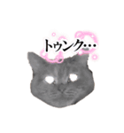立ち耳スコの柚子ちゃん（個別スタンプ：10）