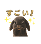 しろいうさぎとくろいうさぎPart3（個別スタンプ：6）