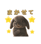 しろいうさぎとくろいうさぎPart3（個別スタンプ：10）
