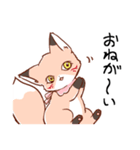 可愛いきつねの日常スタンプ♪（個別スタンプ：8）
