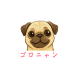 パグの脳内（個別スタンプ：7）