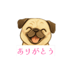 パグの脳内（個別スタンプ：12）