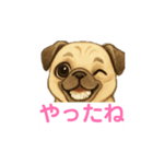 パグの脳内（個別スタンプ：13）