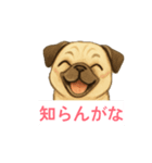 パグの脳内（個別スタンプ：14）